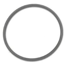 Pentair Challenger Lid O-Ring | 350013